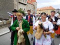 DSCN6184